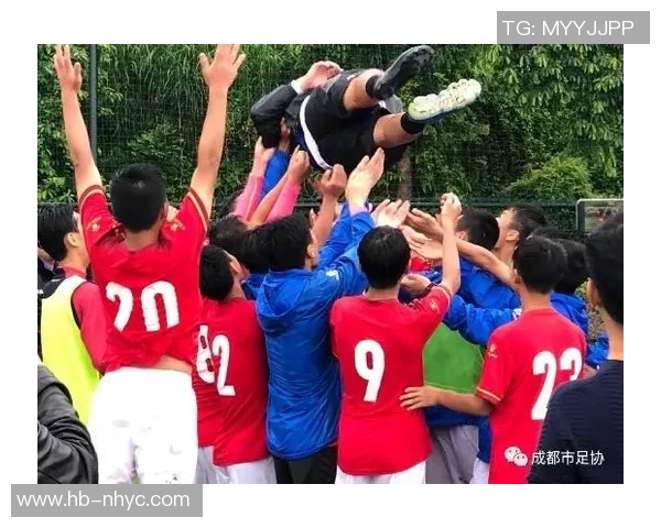 成都排球队逆袭之路揭秘：从低谷到巅峰的奋斗故事与荣耀时刻