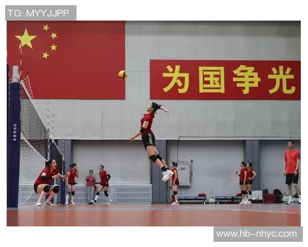 杭州排球队在全国排球耐力排行榜中荣获第五名的佳绩引发关注