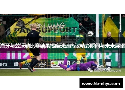 海牙与兹沃勒比赛结果揭晓球迷热议精彩瞬间与未来展望